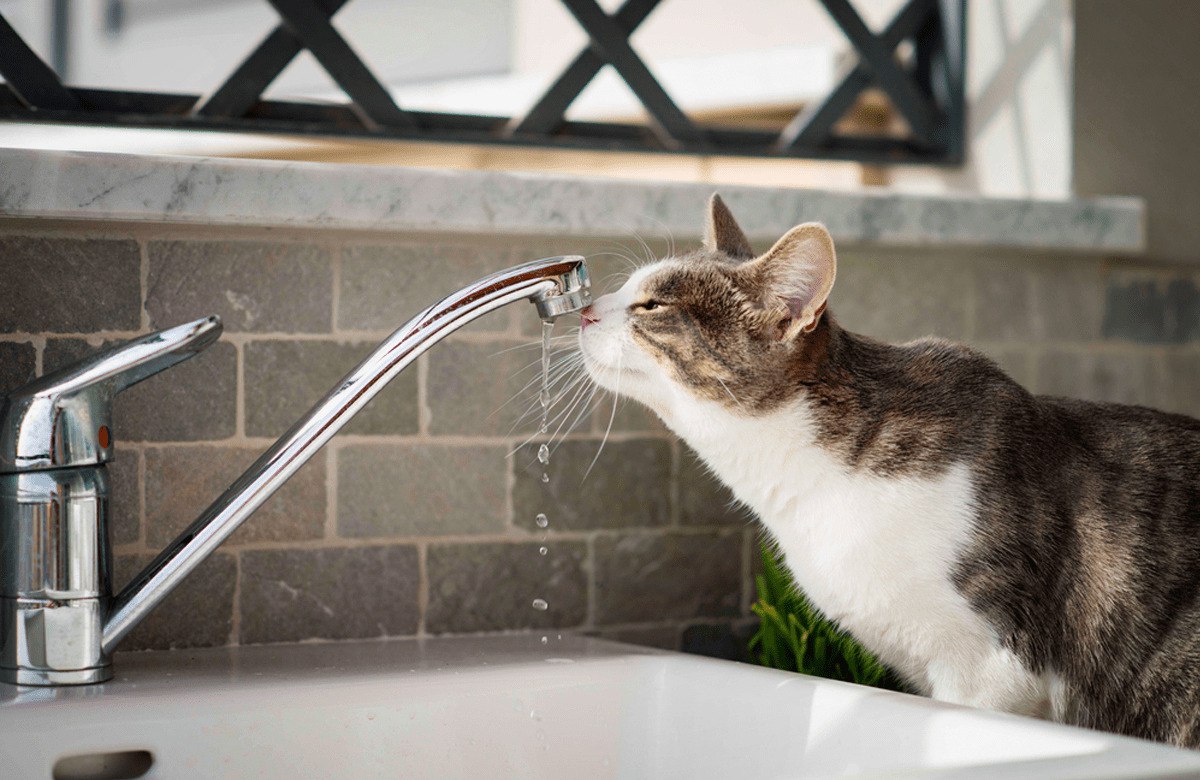 Кременчук тимчасово без води: перелік адрес - Новини Кременчука0