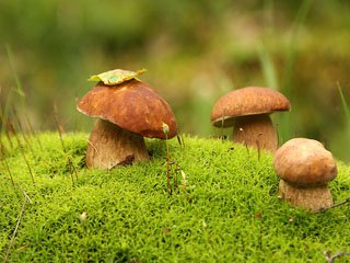 Синоптики розповіли, якою буде погода на Полтавщині на новий тиждень - Новини Кременчука0