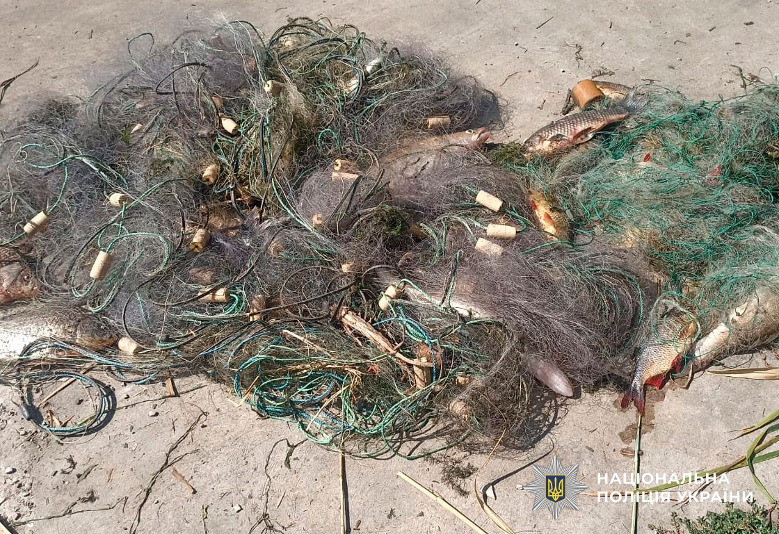 Незаконний вилов на 220 тисяч: поліція викрила браконьєра на Полтавщині - Новини Кременчука0