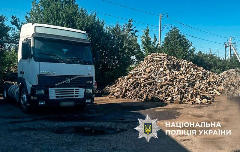 На Полтавщині судитимуть організовану групу «чорних лісорубів» - Новини Кременчука0