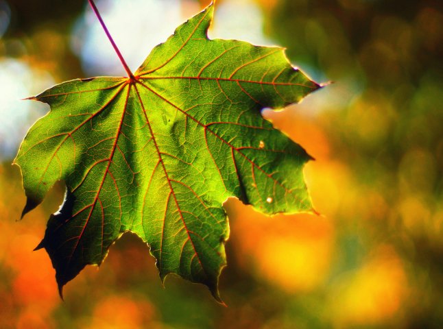 Яким буде вересень на Полтавщині - Новини Кременчука0