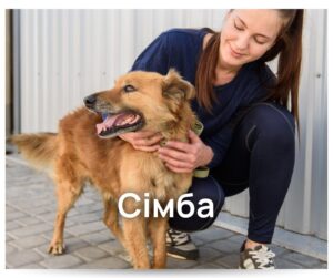 У Кременчуці тваринки чекають люблячу родину у Спецсервісі3