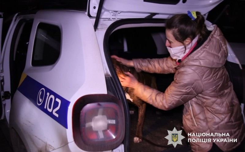 Собаку, яка напала на поліцейських у Полтаві, повернули власникам: триває досудове розслідування