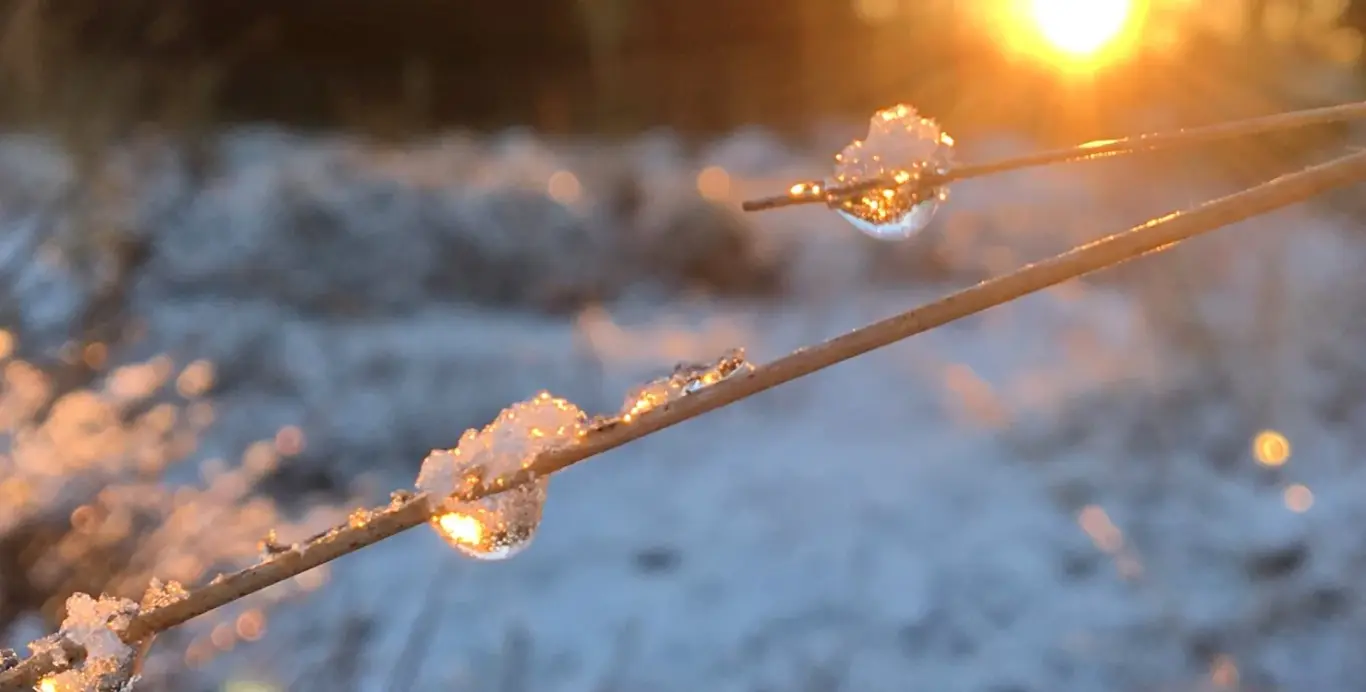 Значне потепління вже на носі, морози відступлять, &ndash; синоптикиня