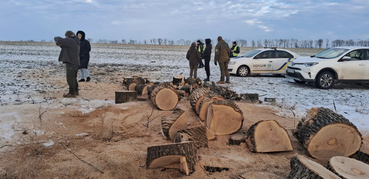 У Кобеляцькій громаді виявили незаконну вирубку дерев на понад 800 тисяч гривень