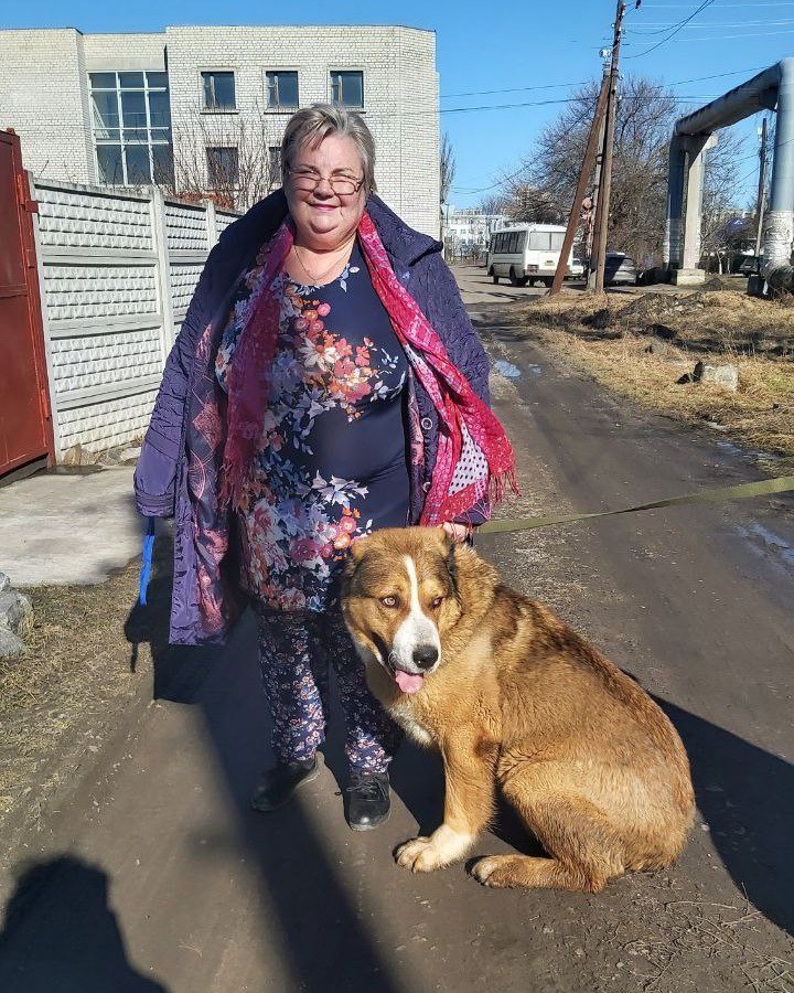 Пес Потапчик знайшов новий дім і турботливу господарку у Кременчуці