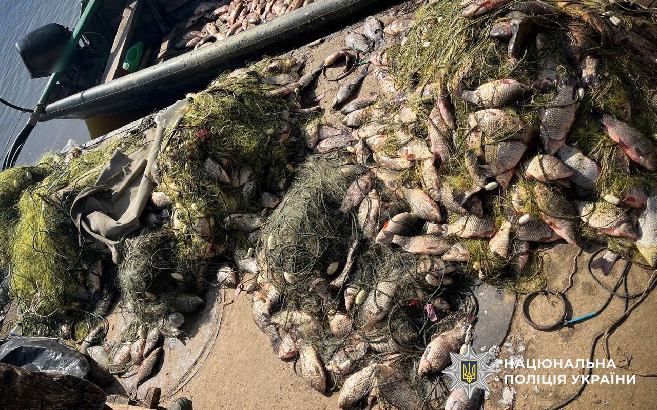 На Полтавщині поліція викрила незаконний рибний промисел на майже 2 мільйони гривень