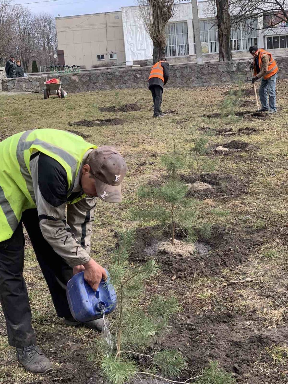 У Кременчуці висадили сосни в Кагамлицькому парку