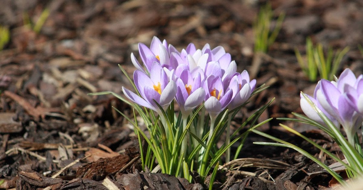 На Полтавщині перед вихідними хмарно з проясненнями і до +18 С