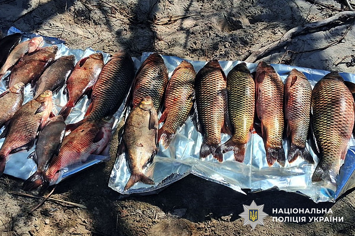 У Кременчуцькому районі викрили браконьєра: збитки державі перевищили 300 тисяч гривень