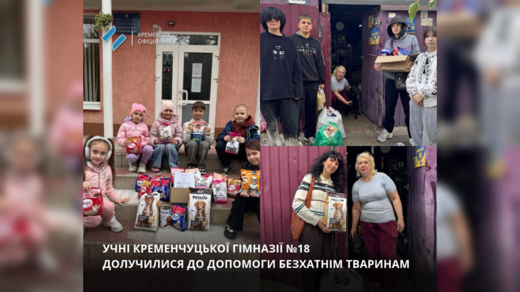 Учні гімназії №18 у Кременчуці зібрали корм для тварин, які постраждали від обстрілів